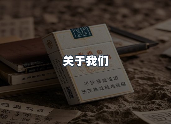 专业团队